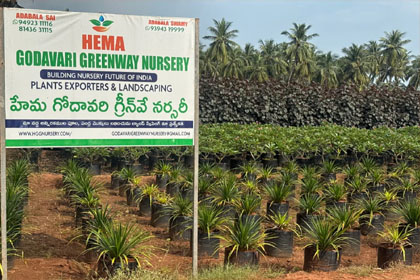 Hema Godavari Greenway Nursery Kadiyam India