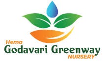 Hema Godavari Greenway Nursery